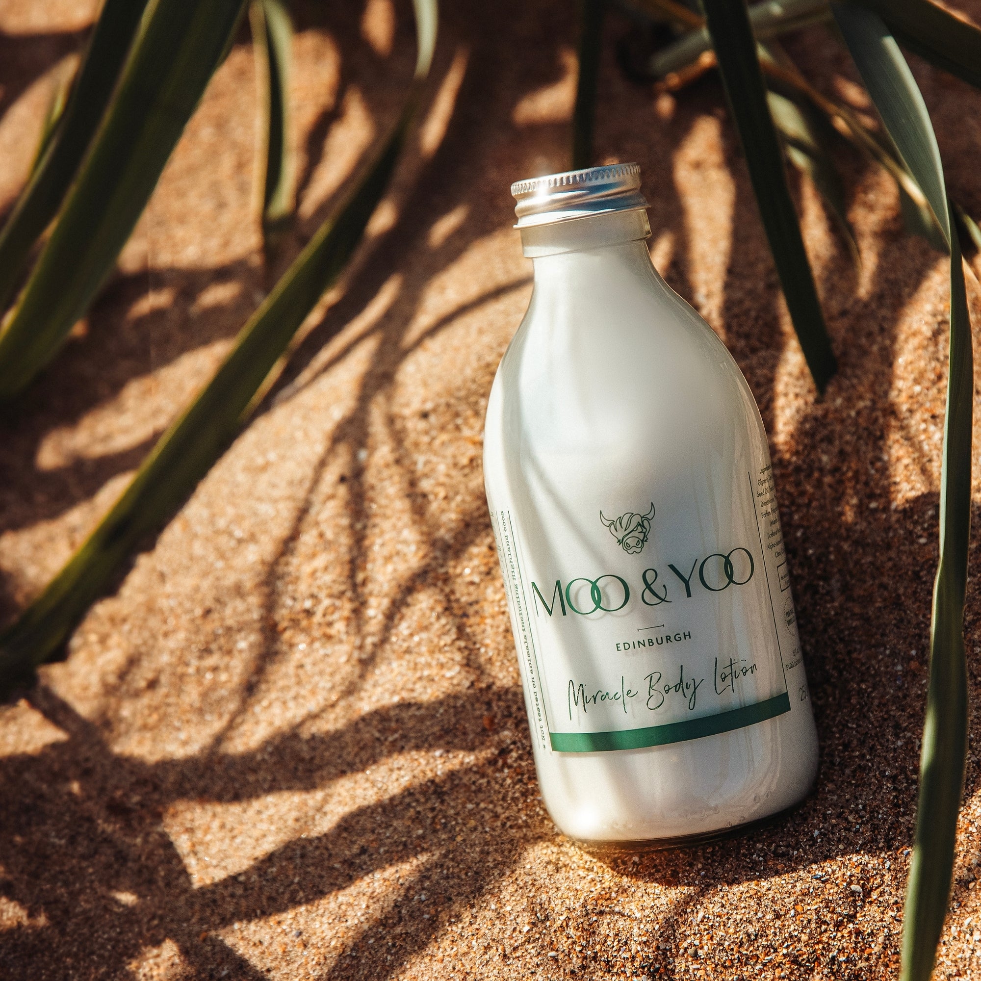 Moo & Yoo bottle of body lotion on a textured sand surface with plant shadows