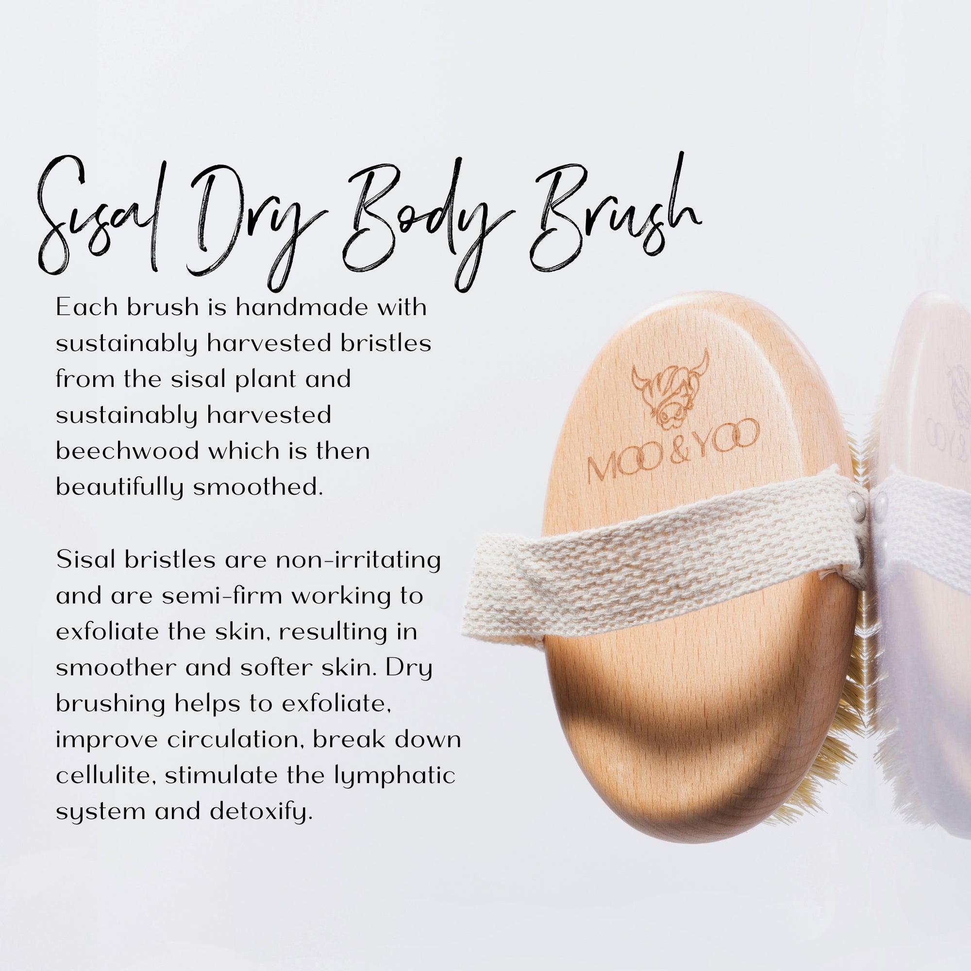 Sisal dry body brush with text about its features and benefits on a light background