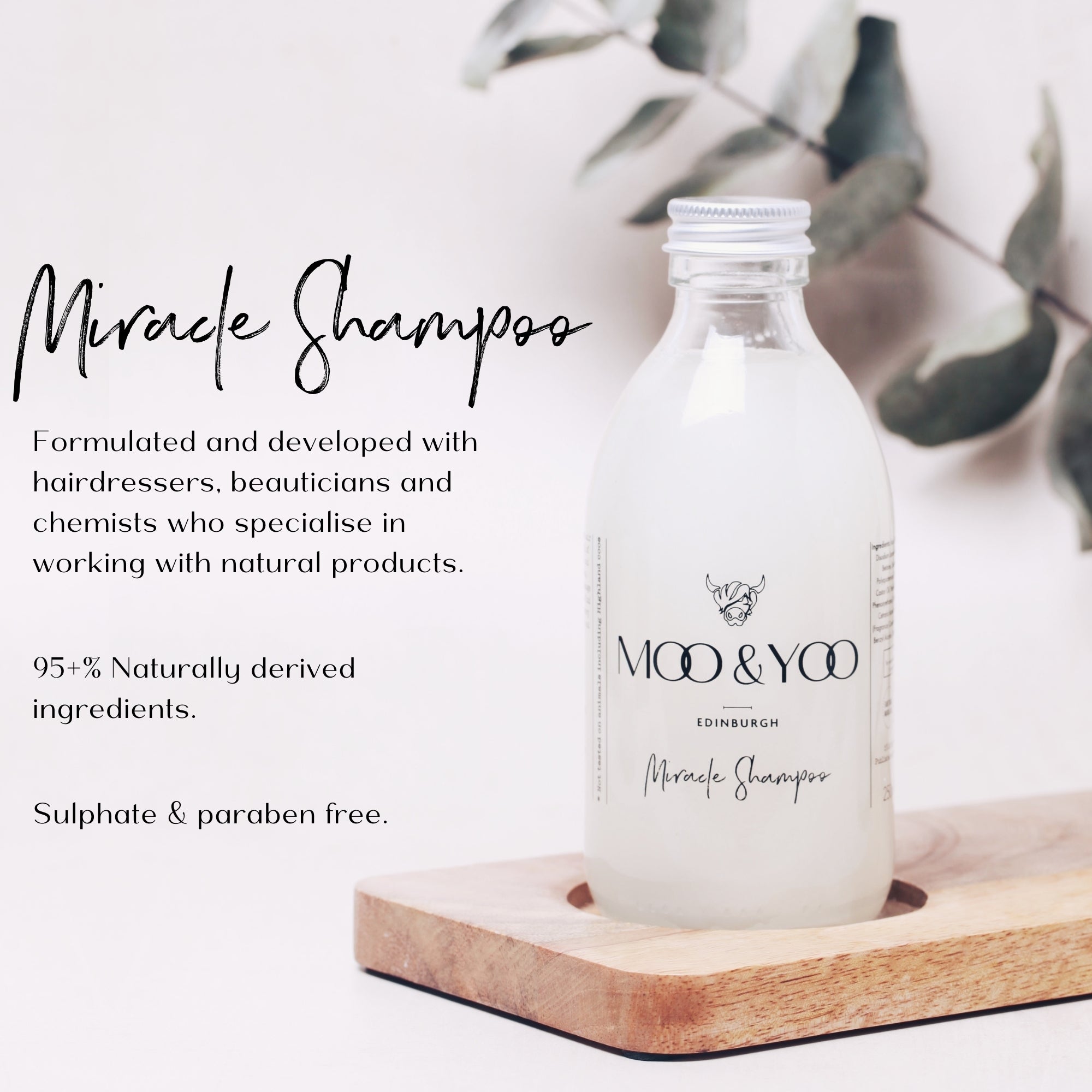Bottle of Moo & Yoo Miracle Shampoo on a wooden tray and eucalyptus in the background with ingredients profile text.
