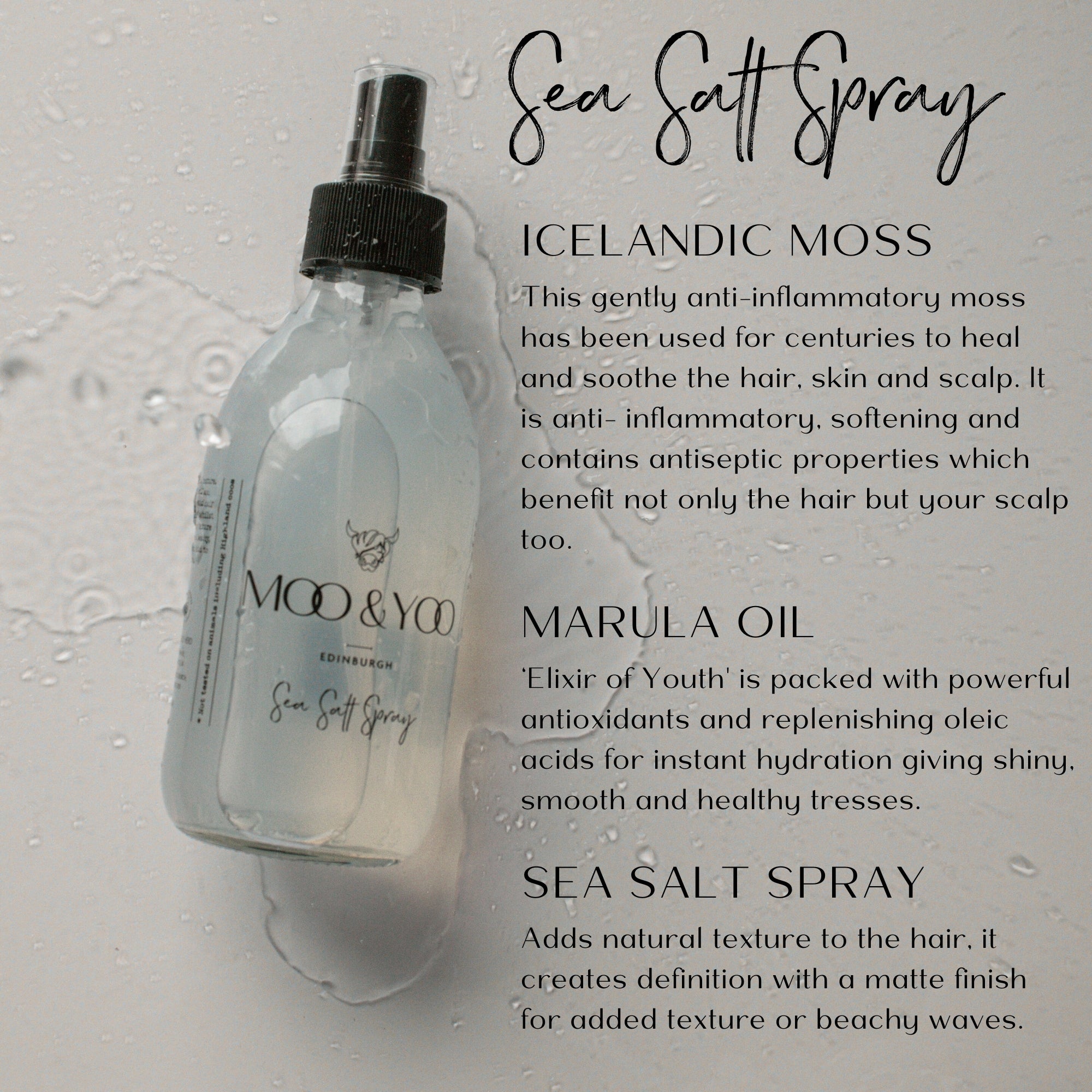 Sea Salt Spray bottle with product ingredient profile on a gray background