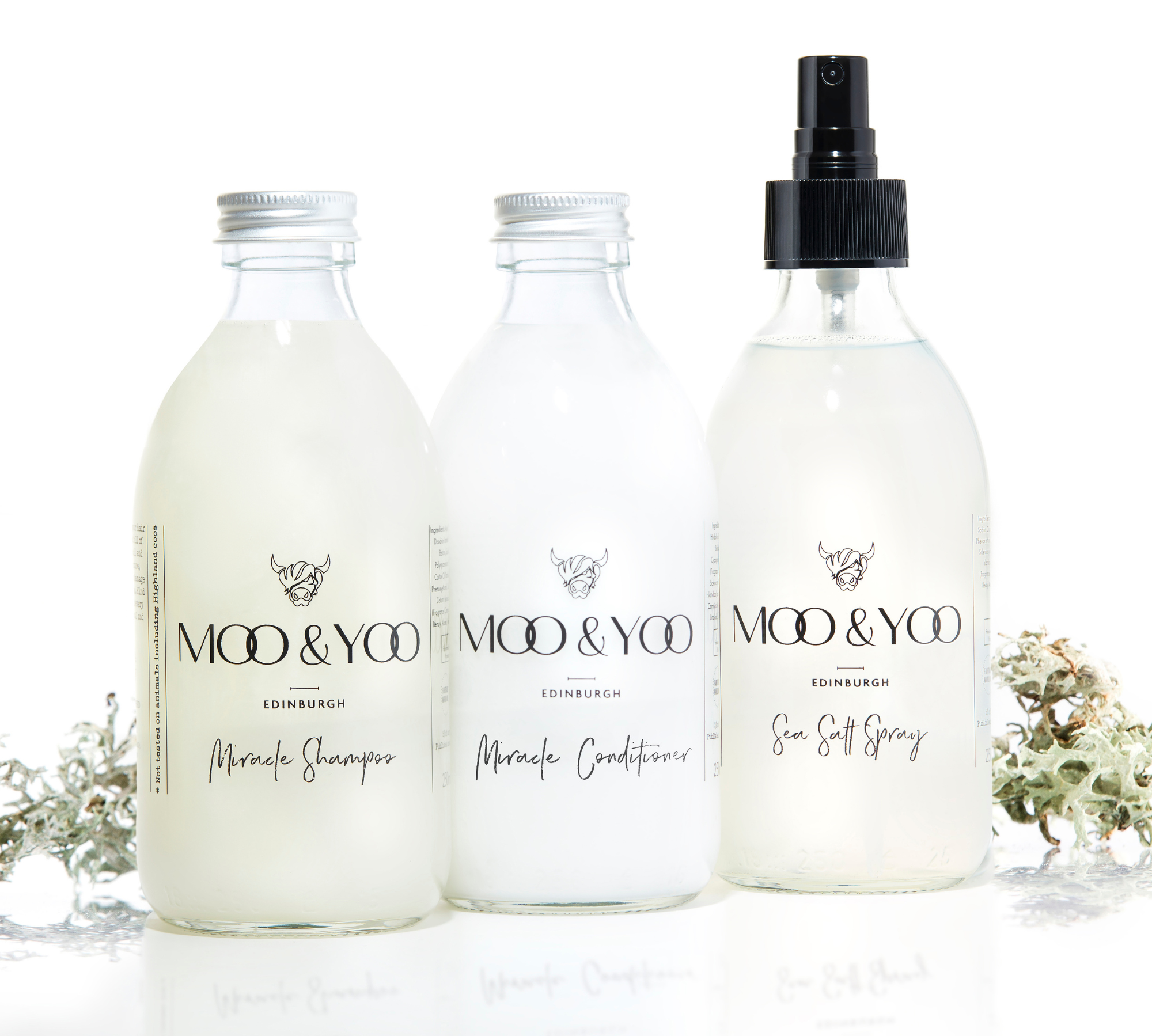 Three glass bottles of Moo and Yoo products sitting side by side. It is a Miracle Shampoo, Conditioner and a Sea Salt Spray. The shampoo and conditioner have an aluminium lid and the salt spray has a spray lid.  They are on a white background with a sprig of Icelandic moss placed to each side.