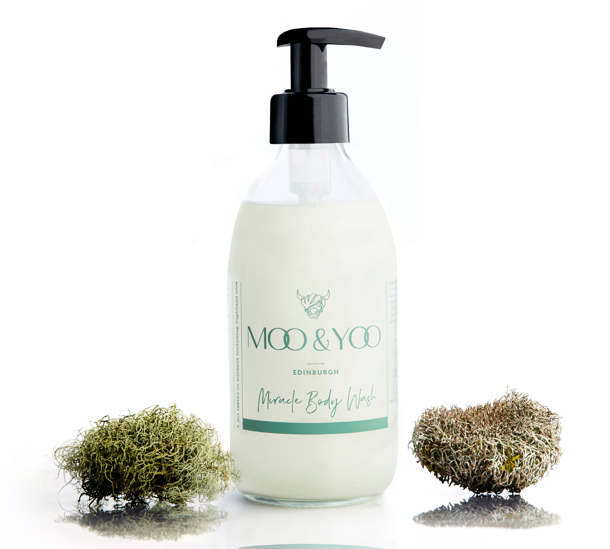 Glass bottle of Moo and Yoo Body Wash with a pump on a white background with a sprig of moss to each side.