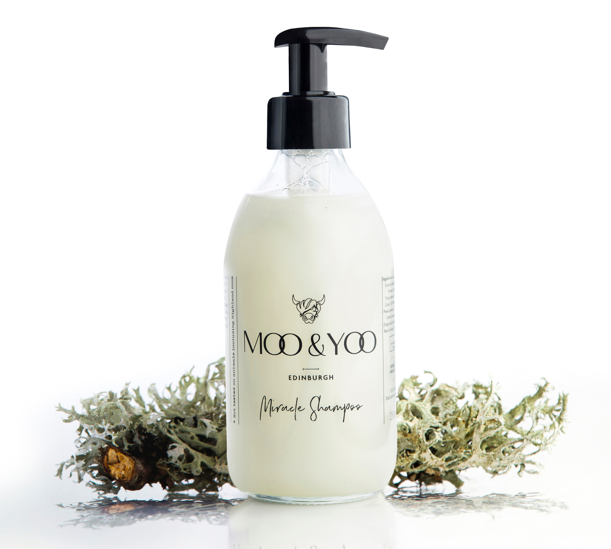 A glass bottle of Moo and Yoo Miracle shampoo with a pump on a white background with a sprig of Icelandic moss placed to each side.