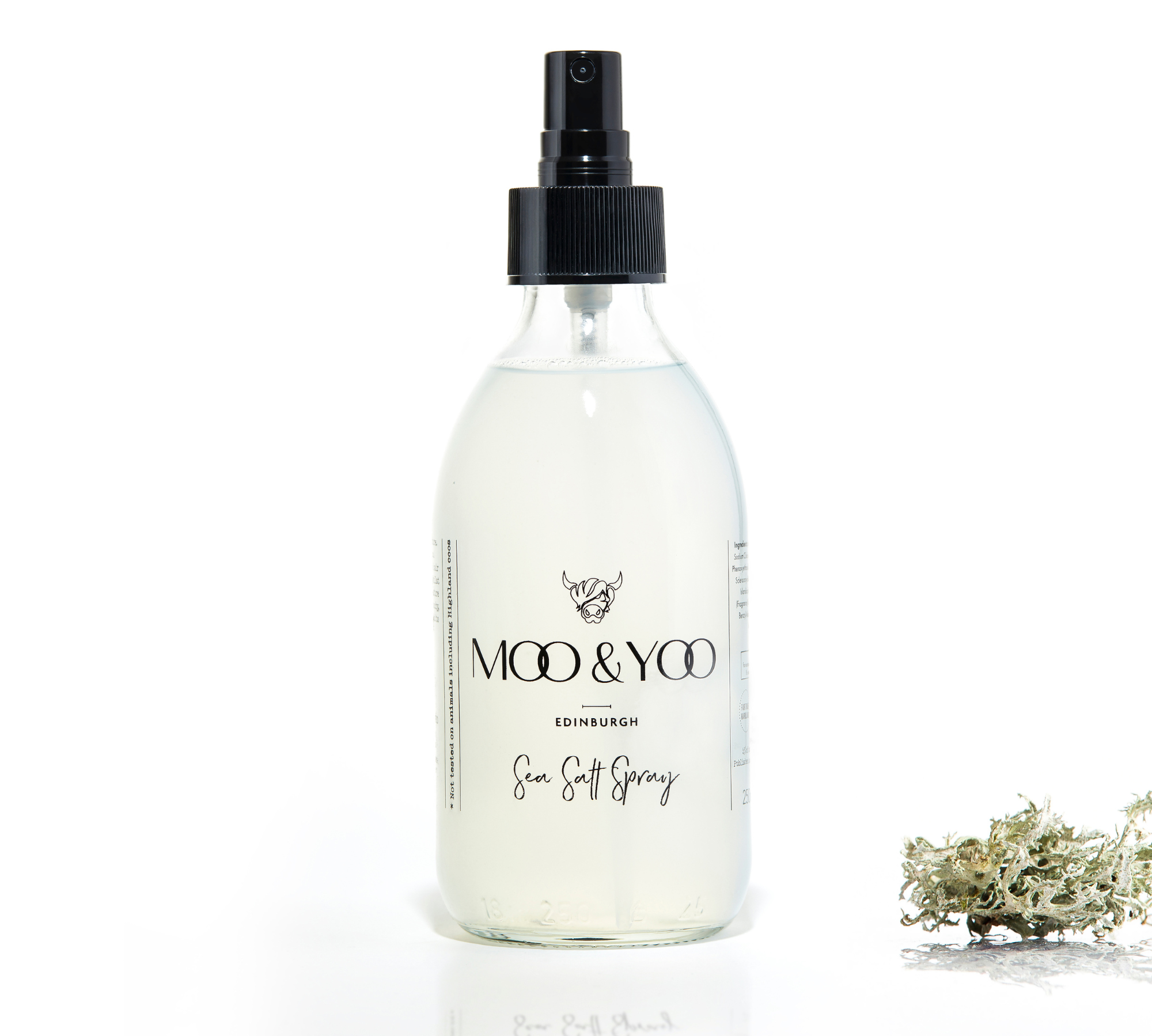 A glass bottle of Moo and Yoo Sea Salt Spray Milk with a spray lid on a white background with a sprig of Icelandic moss placed to one side