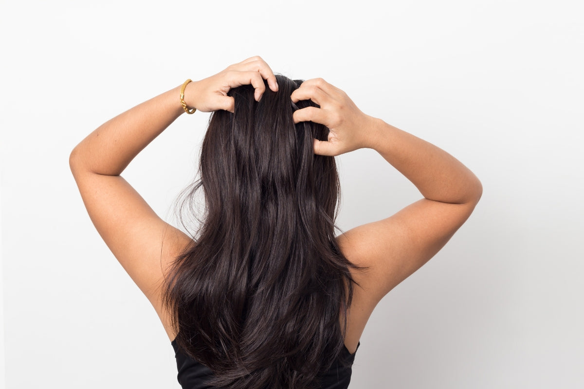A studio shot of a women with long, brown hair itching her scalp. She is facing away with her arms up to the side of her head.