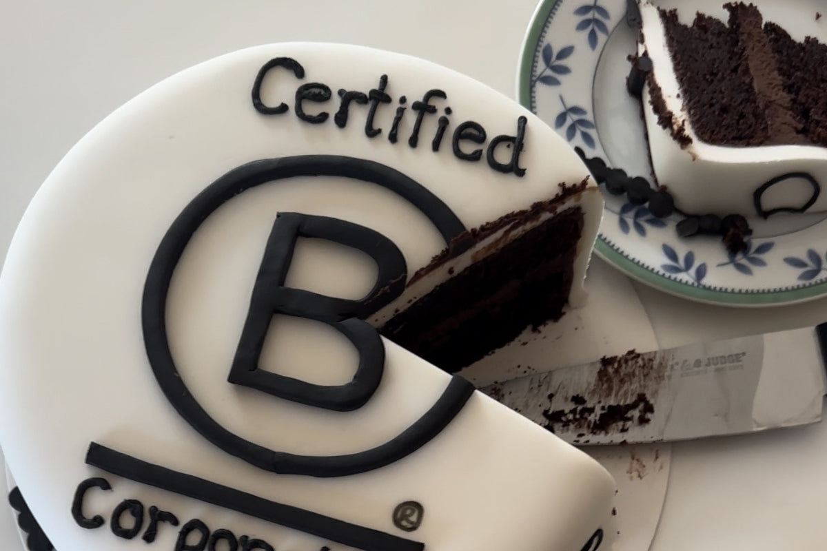 B Corp Explained: What It Means, Why It Matters, and Why Everyone Is Talking About It This March
