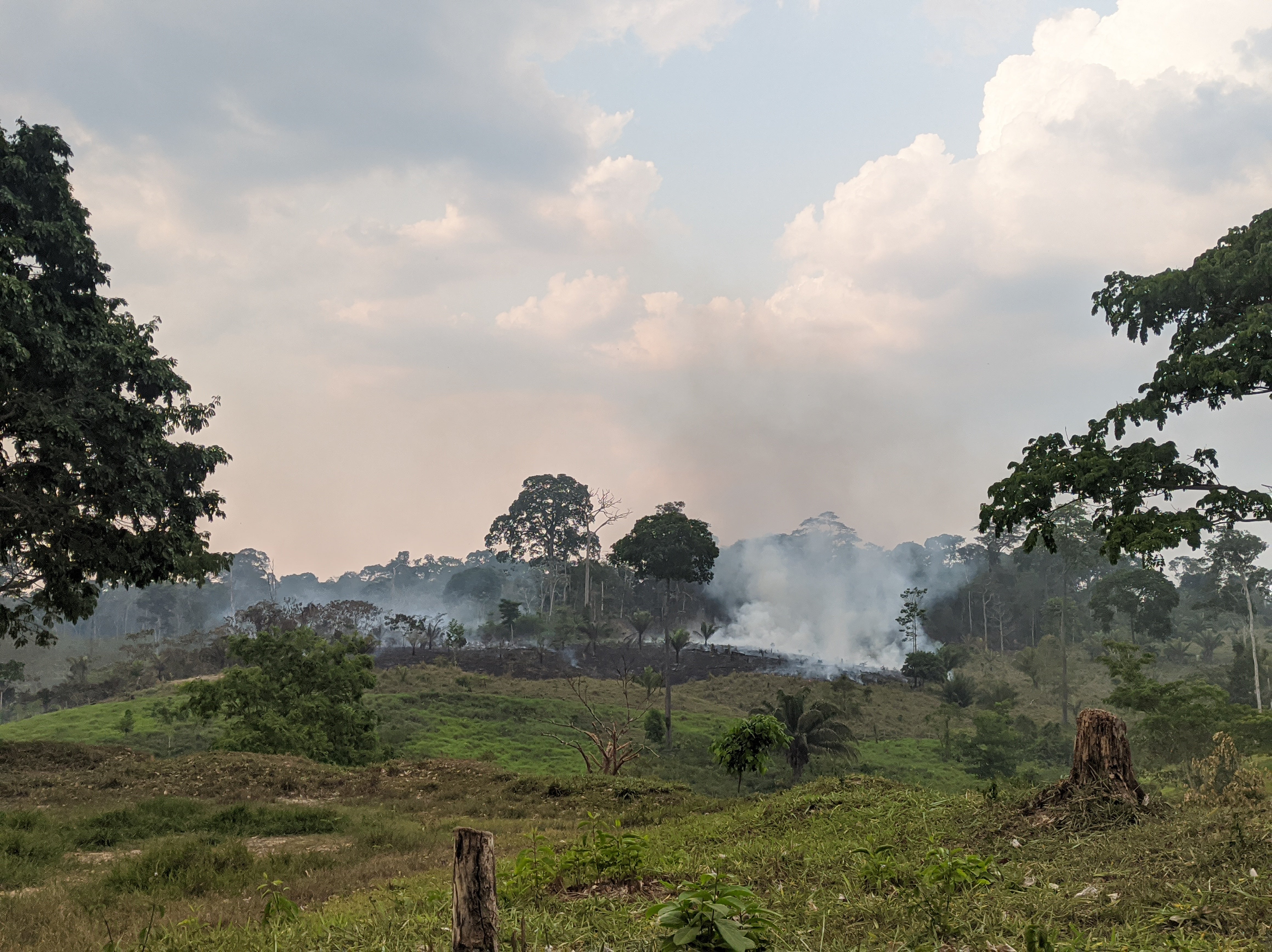 This image shows the destruction in the amazon rain forest. It shows a hills grassland area with tree stumps and smoke in the background.