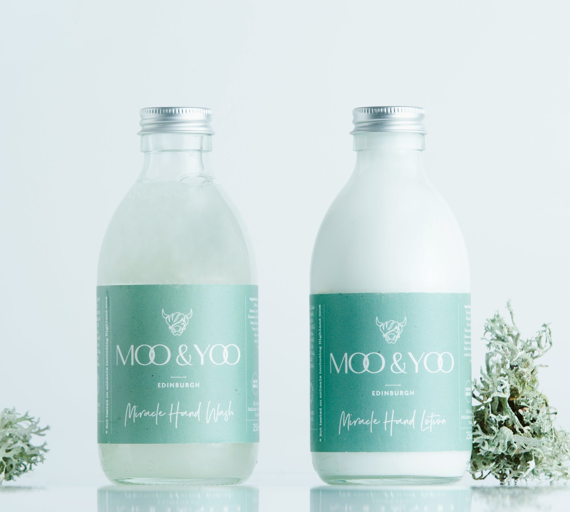 Two bottles of Miracle Hand Wash and Miracle Hand Lotion sitting side by side on a white background with a sprig of moss on each side.