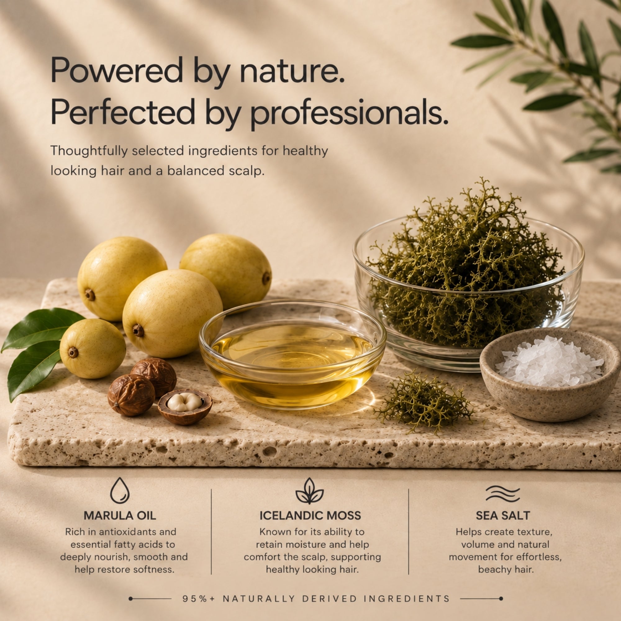 A styled product marketing graphic for a hair scalp treatment. The scene shows marula oil, Icelandic moss, and sea salt arranged on a stone slab with lemons, walnuts, and leaves on a warm beige background.