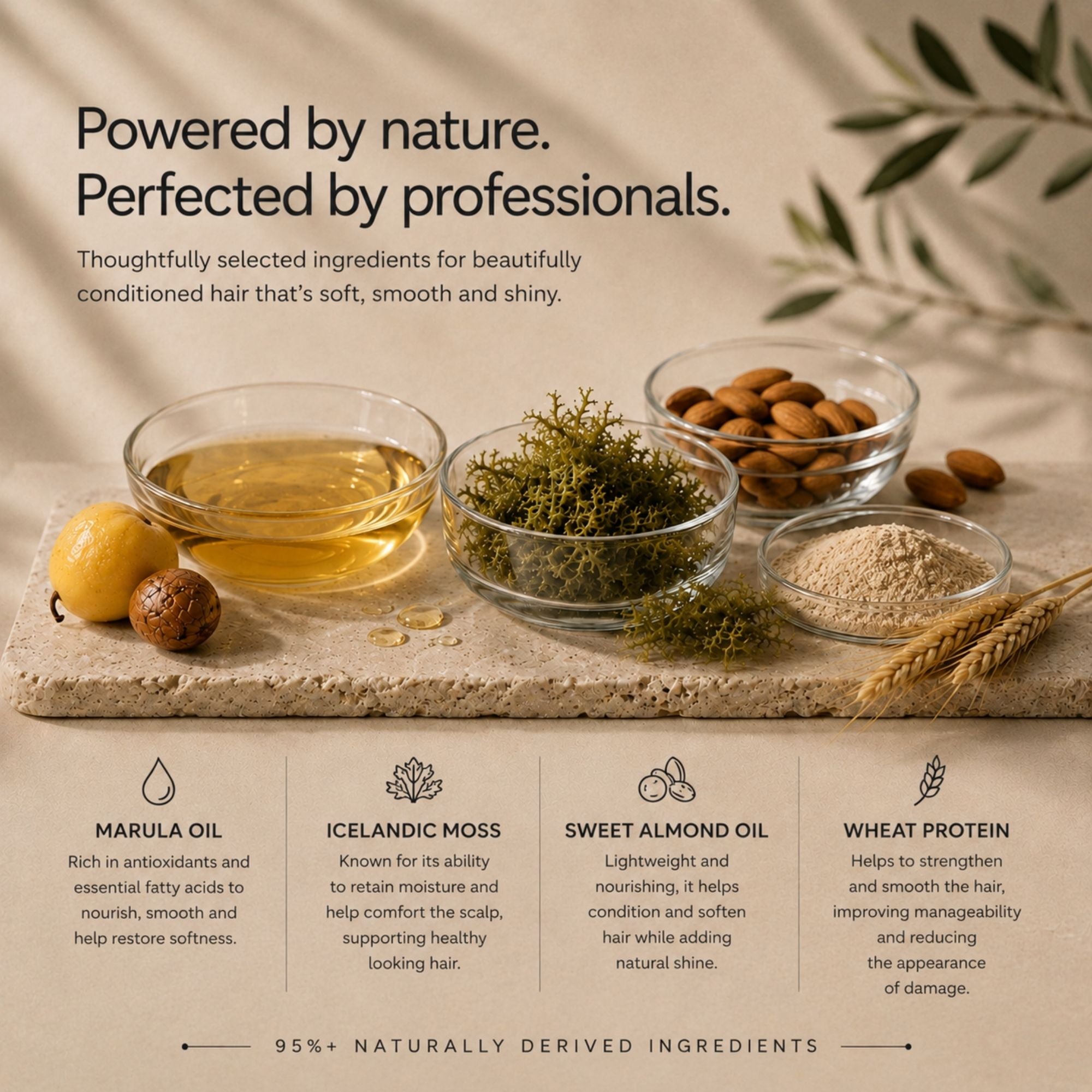 A promotional graphic for moo & yoo hair care product showing several small glass bowls containing ingredients such as marula oil, Icelandic moss, sweet almond oil, wheat protein, and almonds, arranged on a stone slab with text describing each ingredient.