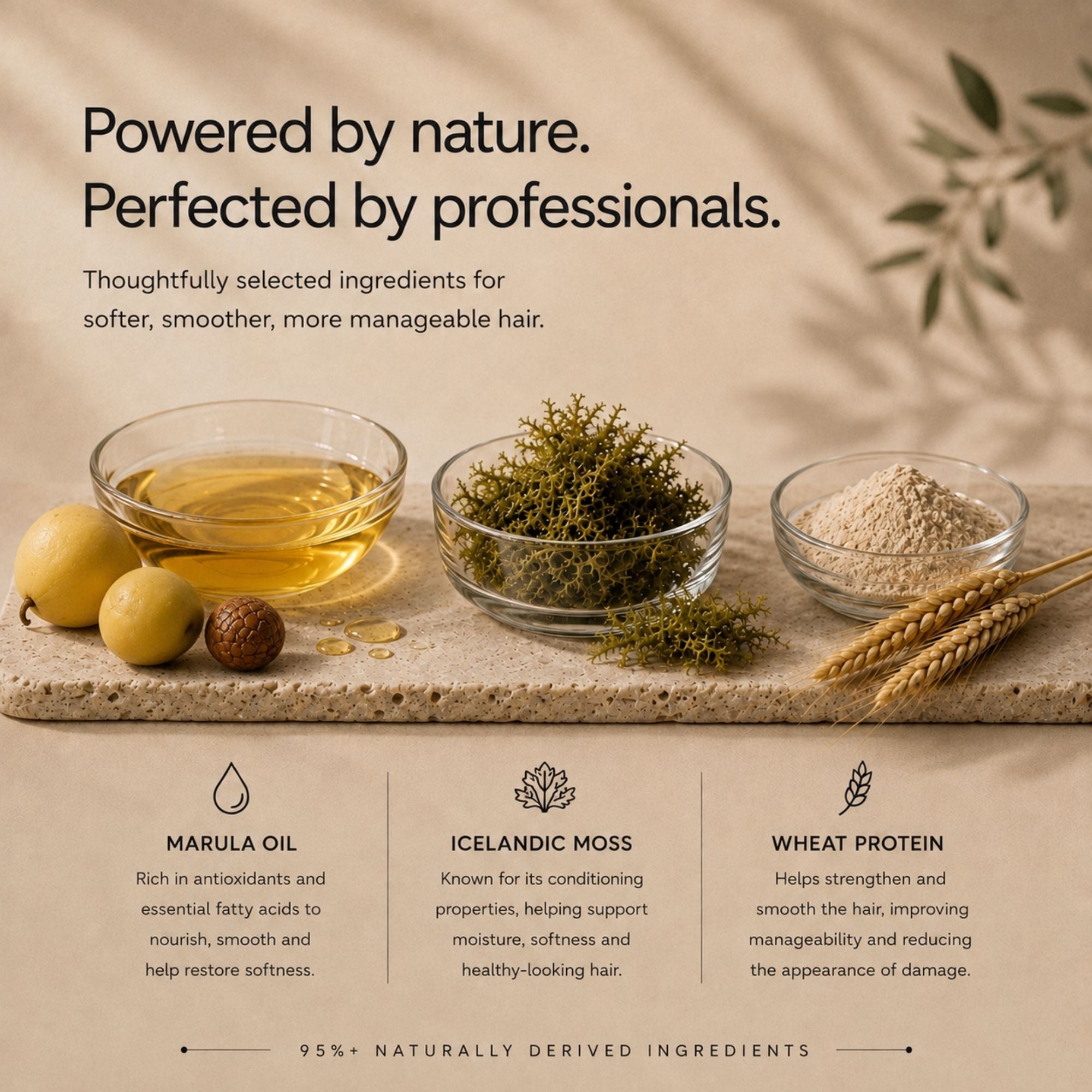 Promotional graphic for moo & yoo miracle conditioner a hair care product showing three glass bowls of ingredients (marula oil, Icelandic moss, and wheat protein) on a stone slab, with text highlighting natural ingredients and benefits.