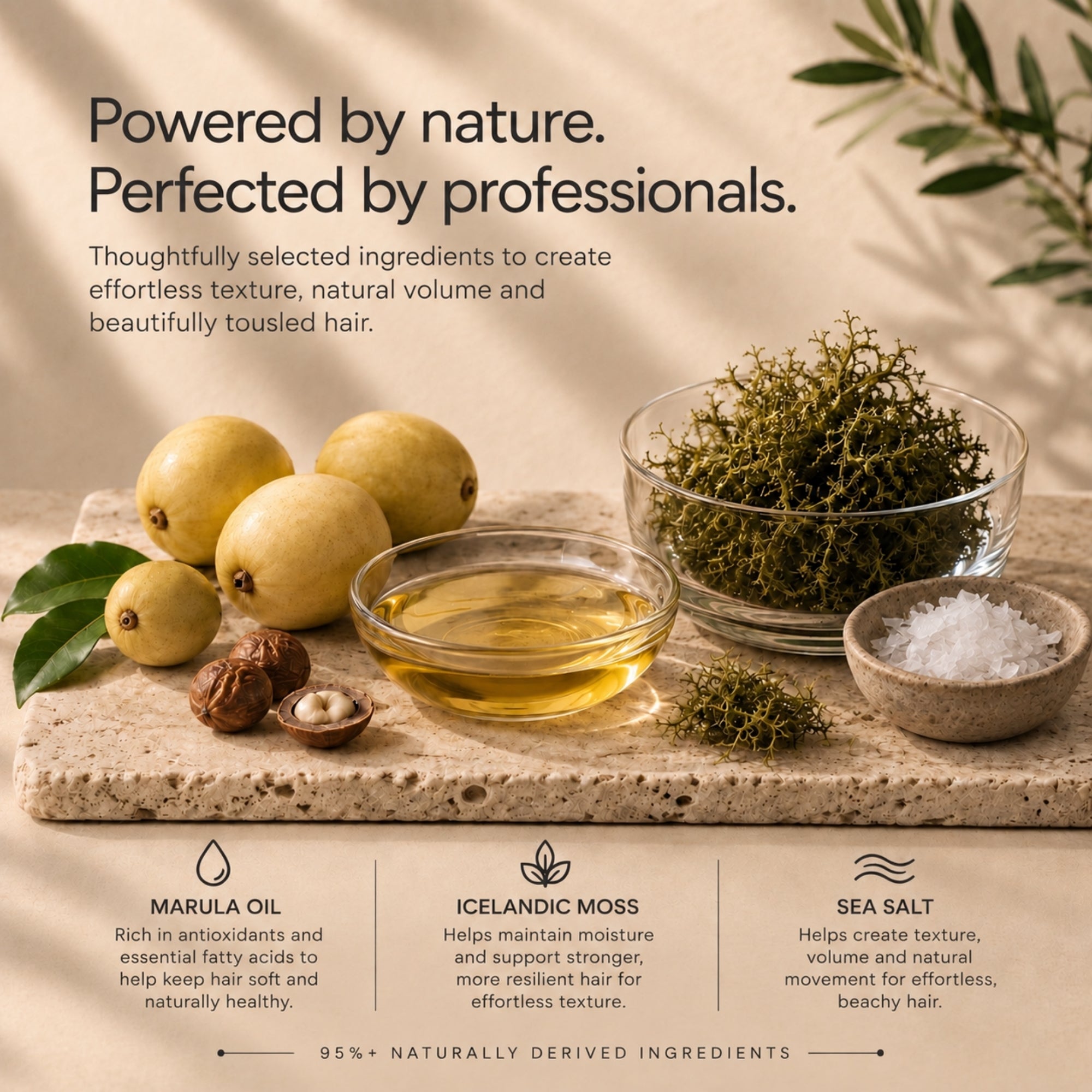 Moo & Yoo ingredients contained in sea salt spray.  Marula oil, icelandic moss and sea salt are in glass dishes on a stone slab with the benefits of each described below.