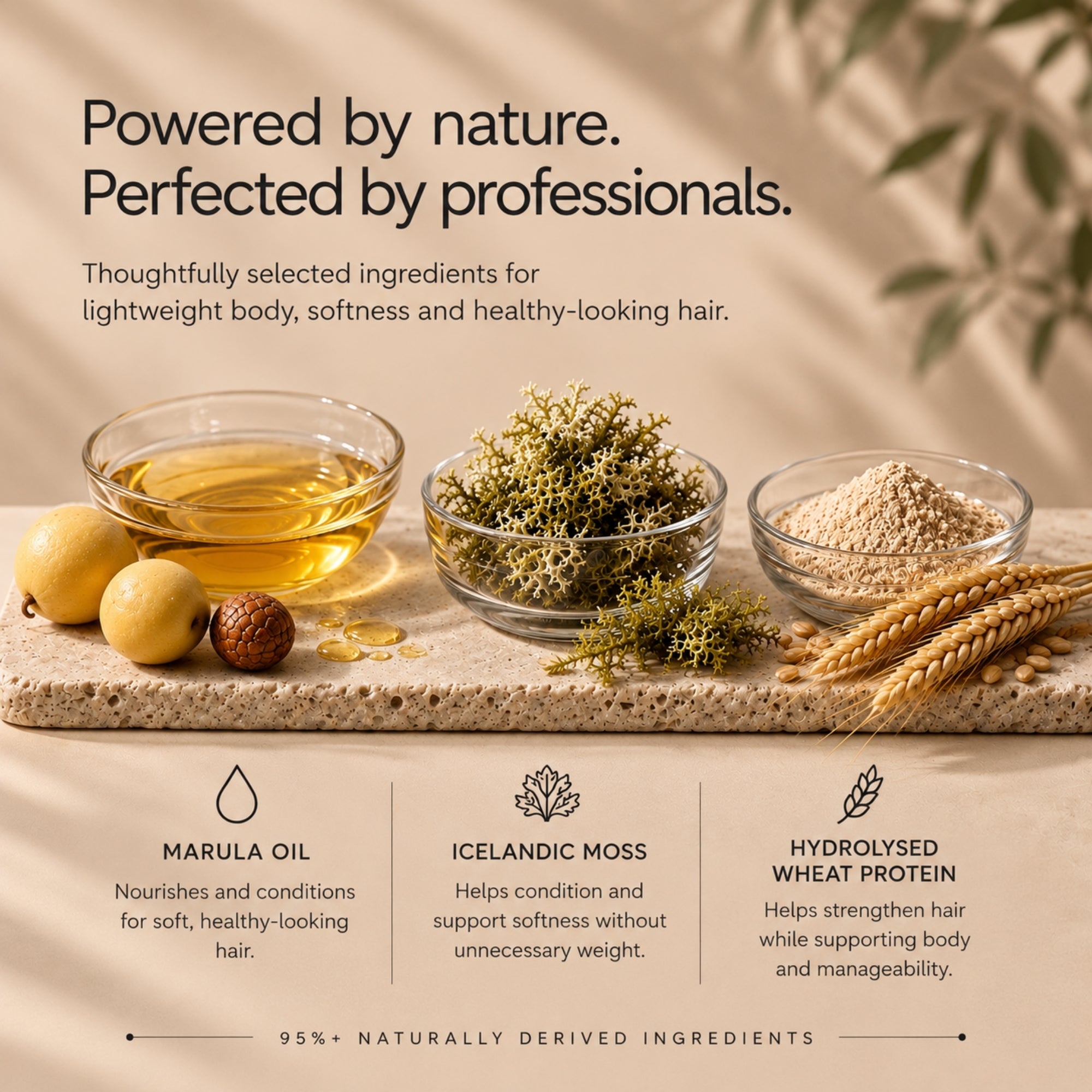 A styled ingredient-focused marketing graphic for a moo & yoo hair care product. Large text at the top reads, 'Powered by nature.perfected by professionals.