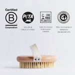 body brush with certification logos on a light gray background