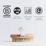 body brush with certification logos on a light gray background