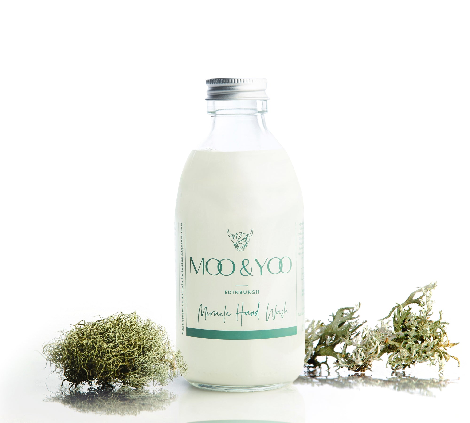 Glass bottle of Miracle Hand Wash on a white background with a sprig of moss to each side.