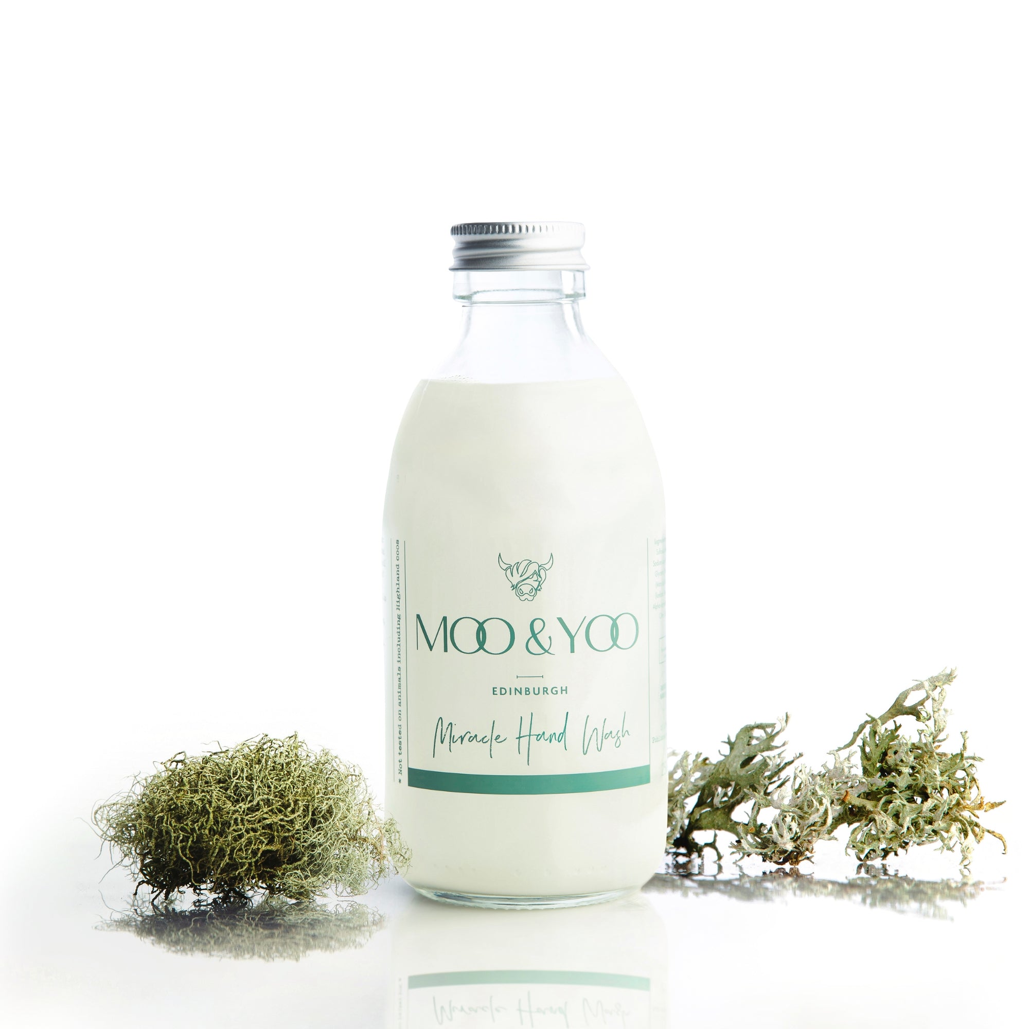 Glass bottle of Miracle Hand Wash on a white background with a sprig of moss to each side.