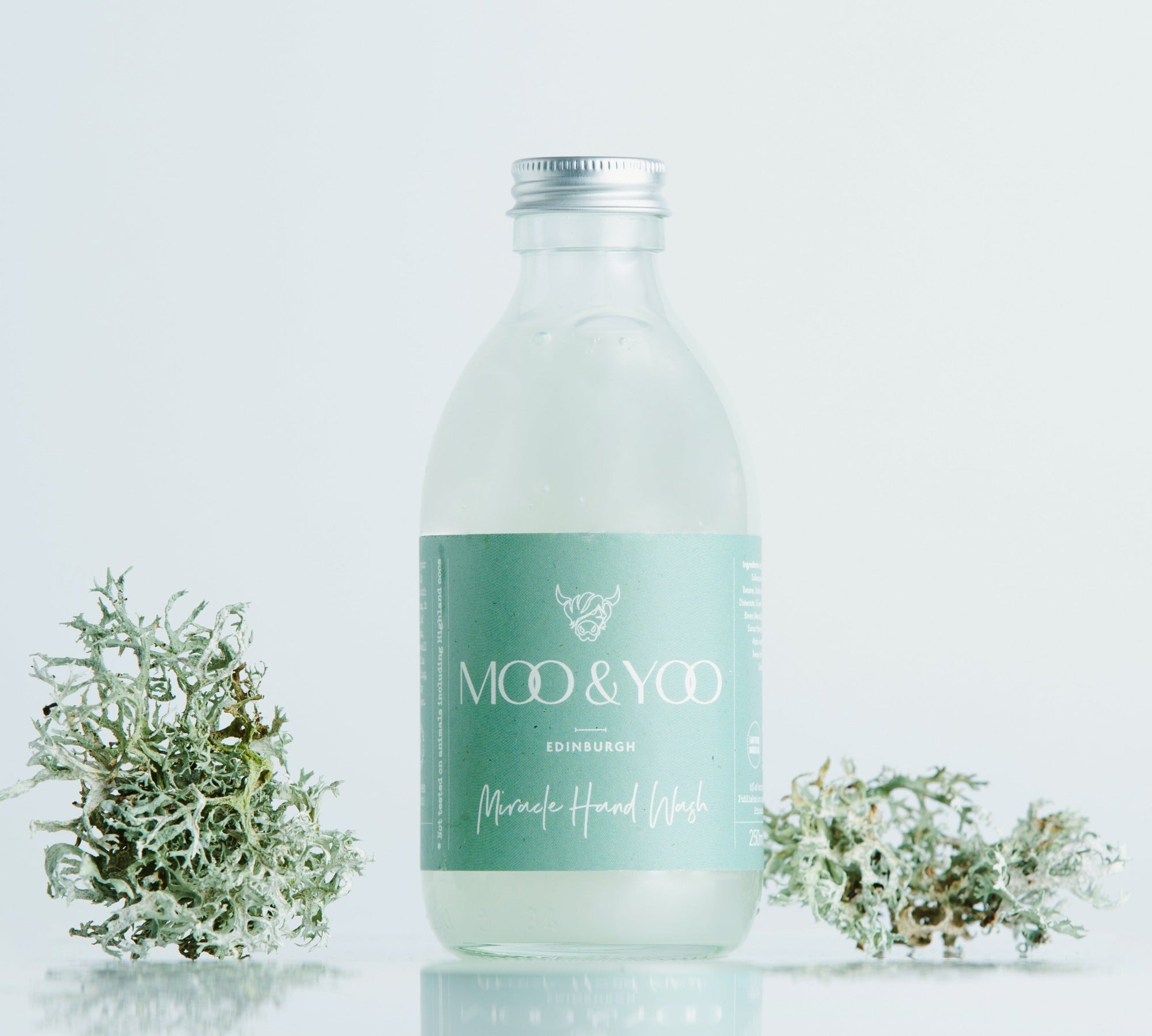 Glass bottle of Miracle Hand Wash on a white background with a sprig of moss to each side.