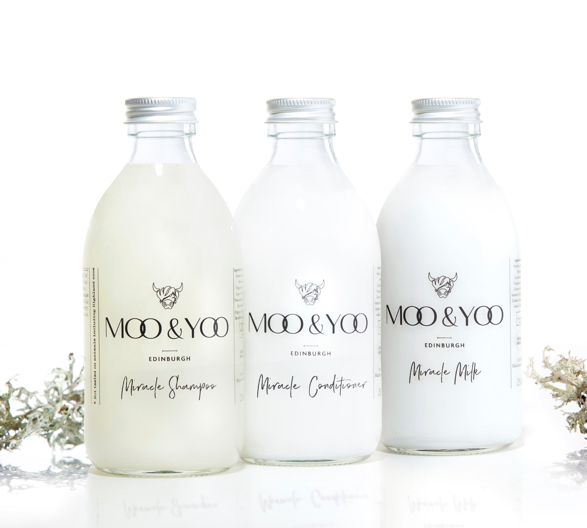Three glass bottles of Moo and Yoo products sitting side by side. It is a Miracle Shampoo, Conditioner and a Volumising Spray Mist. All have aluminium lids.  They are on a white background with a sprig of Icelandic moss placed to each side.