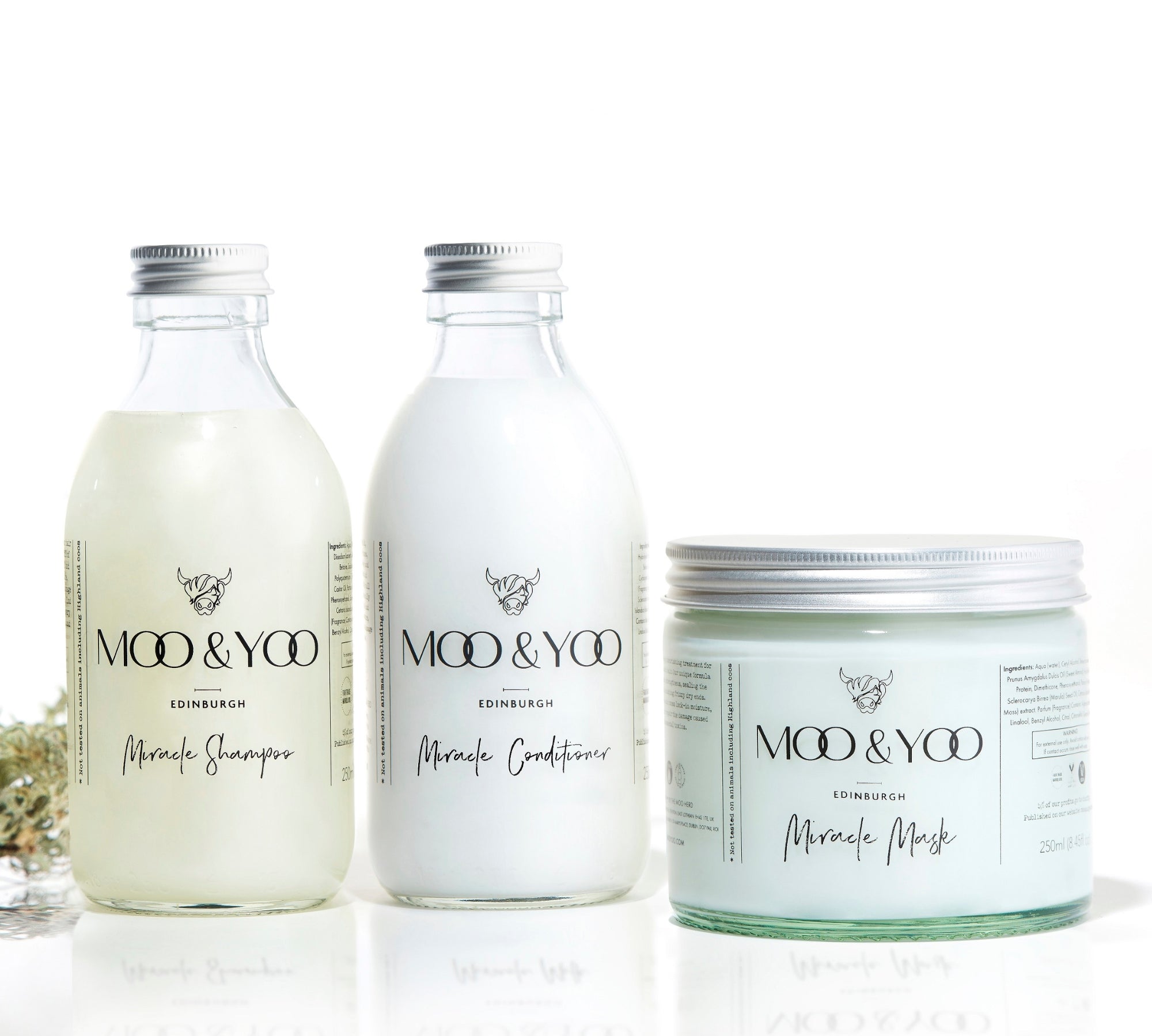 Two glass bottles and a glass jar of Moo and Yoo products sitting side by side. It is a Miracle Shampoo, Conditioner and a Miracle mask. They all have aluminium lids.  They are on a white background with a sprig of Icelandic moss placed to one side.