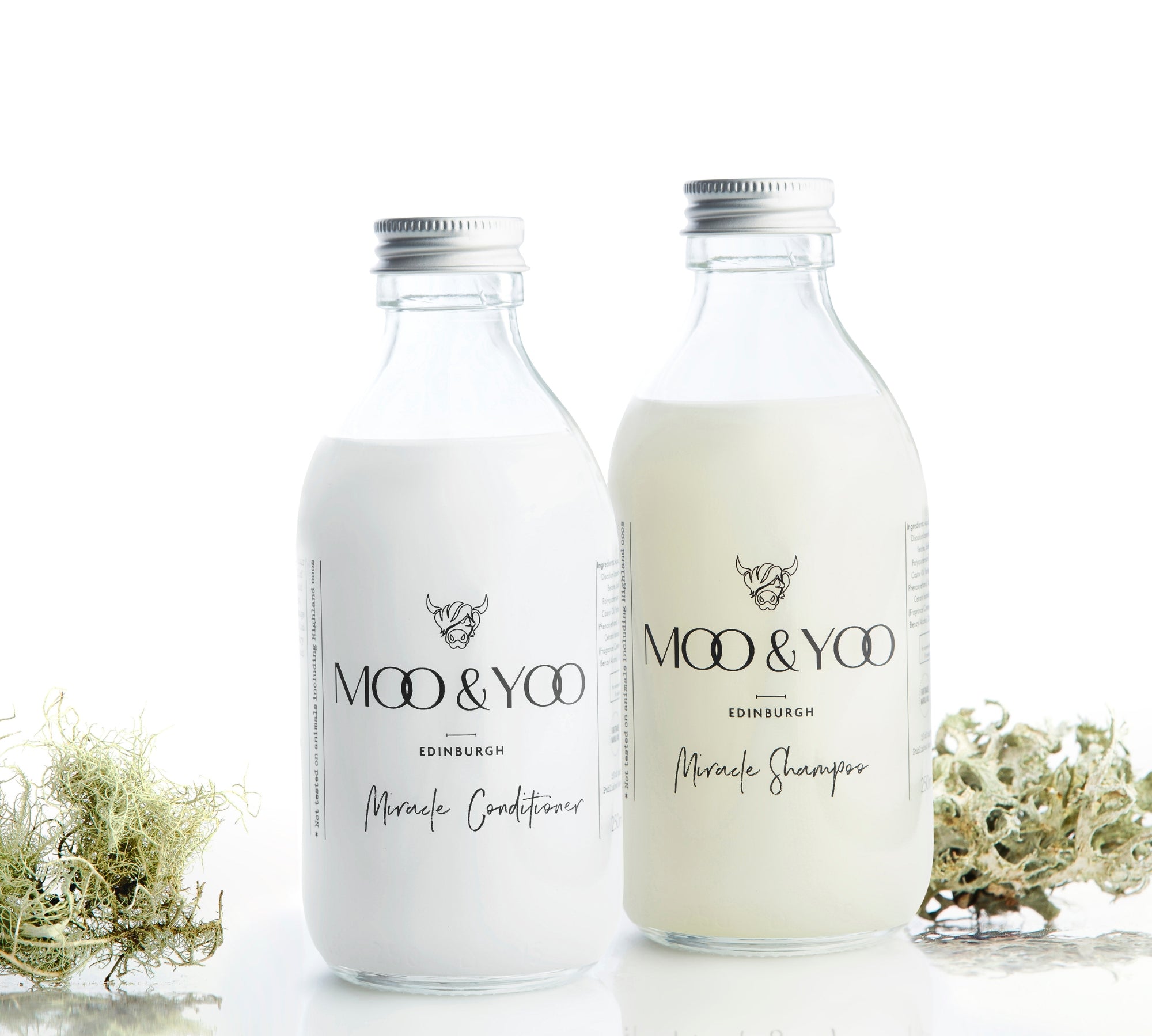 A glass bottle of Moo and Yoo Miracle Conditioner and a glass bottle of Moo and Yoo Miracle Shampoo sitting side by side with aluminium lids on a white background with a sprig of Icelandic moss placed to each side.