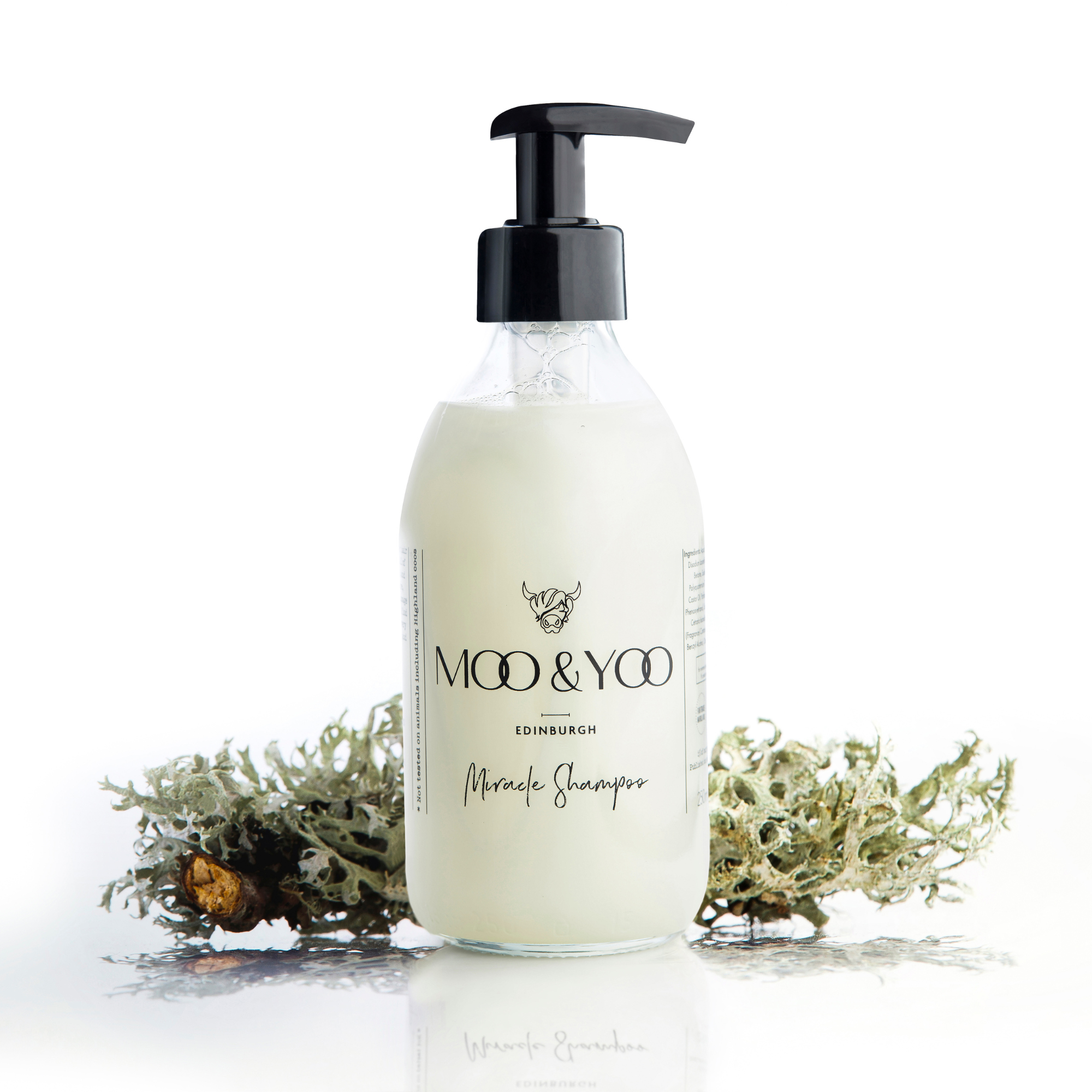 A glass bottle of Moo and Yoo Miracle shampoo with a pump on a white background with a sprig of Icelandic moss placed to each side.