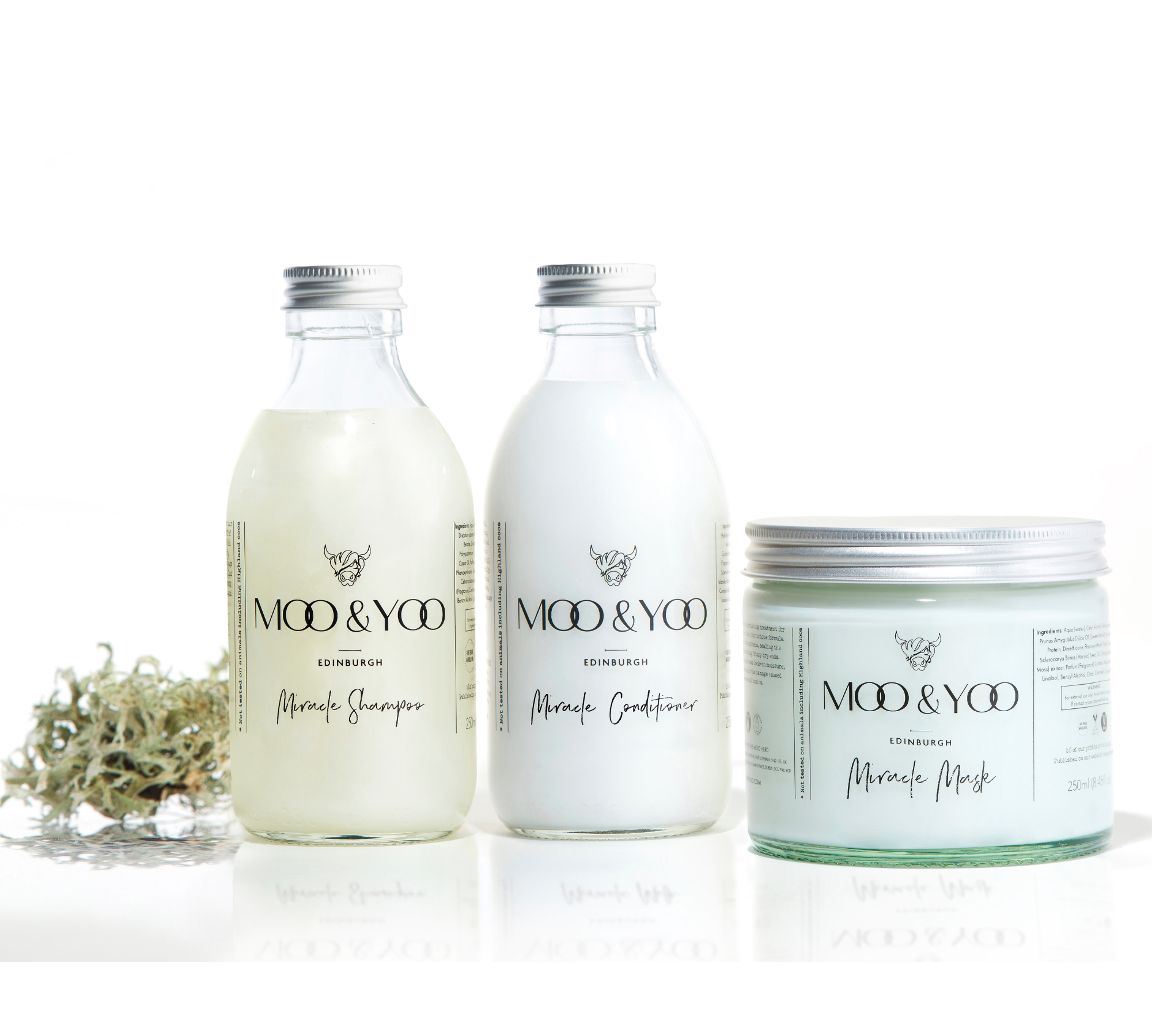 Two glass bottles and a glass jar of Moo and Yoo products sitting side by side. It is a Miracle Shampoo, Conditioner and a Miracle mask. They all have aluminium lids.  They are on a white background with a sprig of Icelandic moss placed to one side.