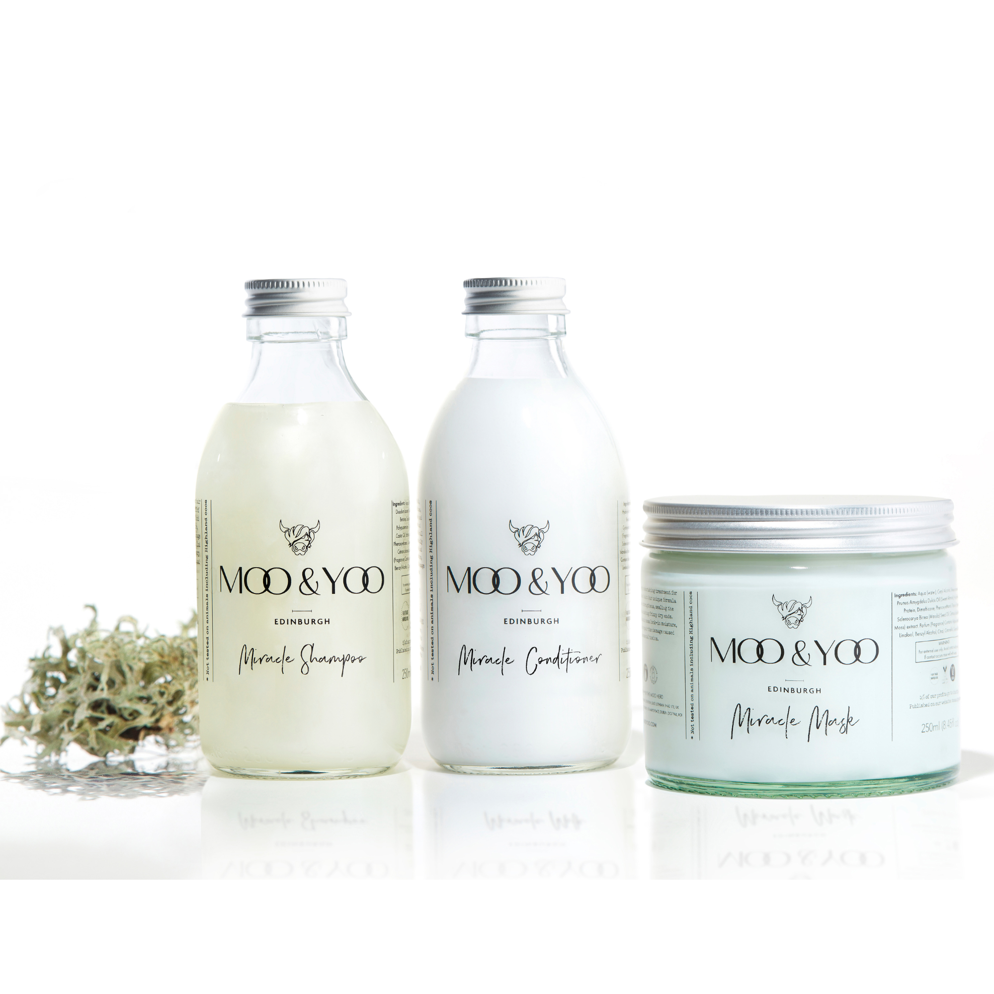Two glass bottles and a glass jar of Moo and Yoo products sitting side by side. It is a Miracle Shampoo, Conditioner and a Miracle mask. They all have aluminium lids.  They are on a white background with a sprig of Icelandic moss placed to one side.