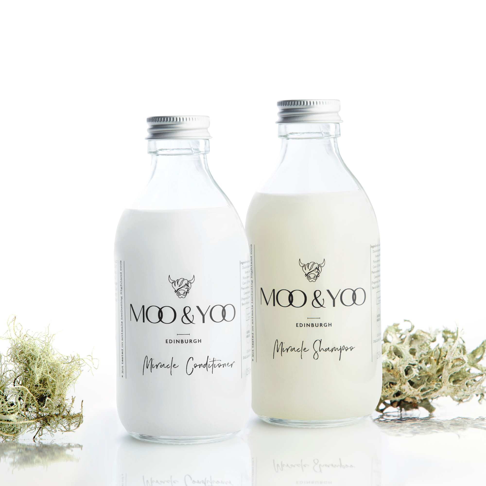 A glass bottle of Moo and Yoo Miracle Conditioner and a glass bottle of Moo and Yoo Miracle Shampoo sitting side by side with aluminium lids on a white background with a sprig of Icelandic moss placed to each side.