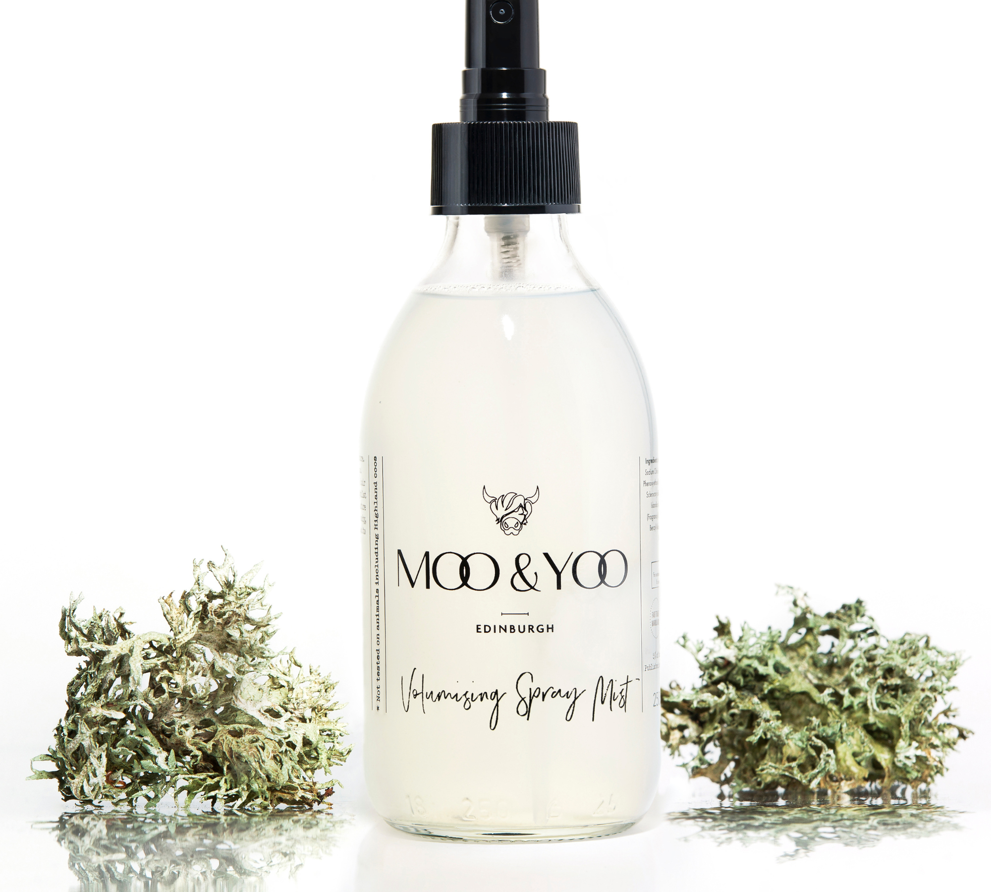A glass jar of Moo and Yoo Volumising Spray Mist with a spray lid on a white background with a sprig of Icelandic moss placed to each side.